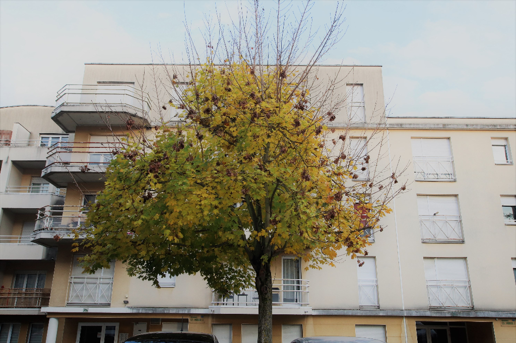 Appartement 1 pièce 32.30 m² en dernier étage Parking à louer à METZ SABLON Appartement 1 pièce 32.30 m² en dernier étage Parking à louer à METZ SABLON
