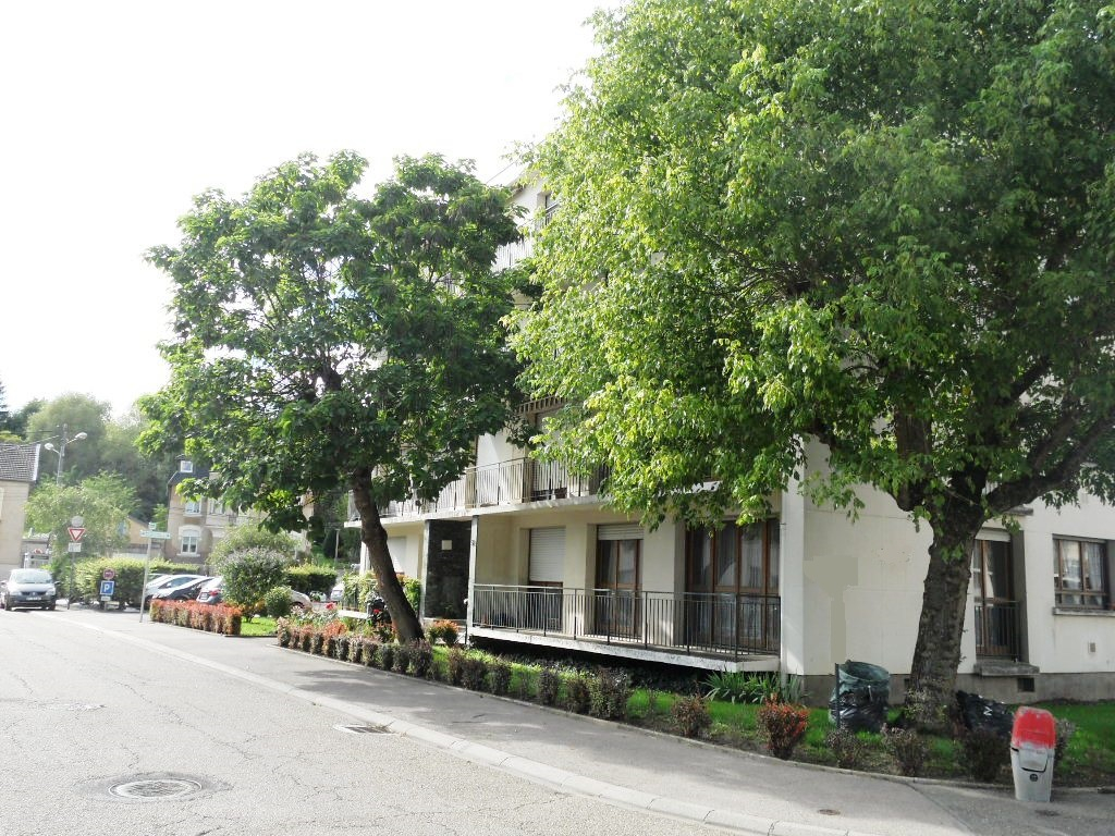 En dernier étage, appartement 3 pièces de 71m² avec cave, garage et parking à louer - LE BAN-SAINT-MARTIN En dernier étage, appartement 3 pièces de 71m² avec cave, garage et parking à louer - LE BAN-SAINT-MARTIN
