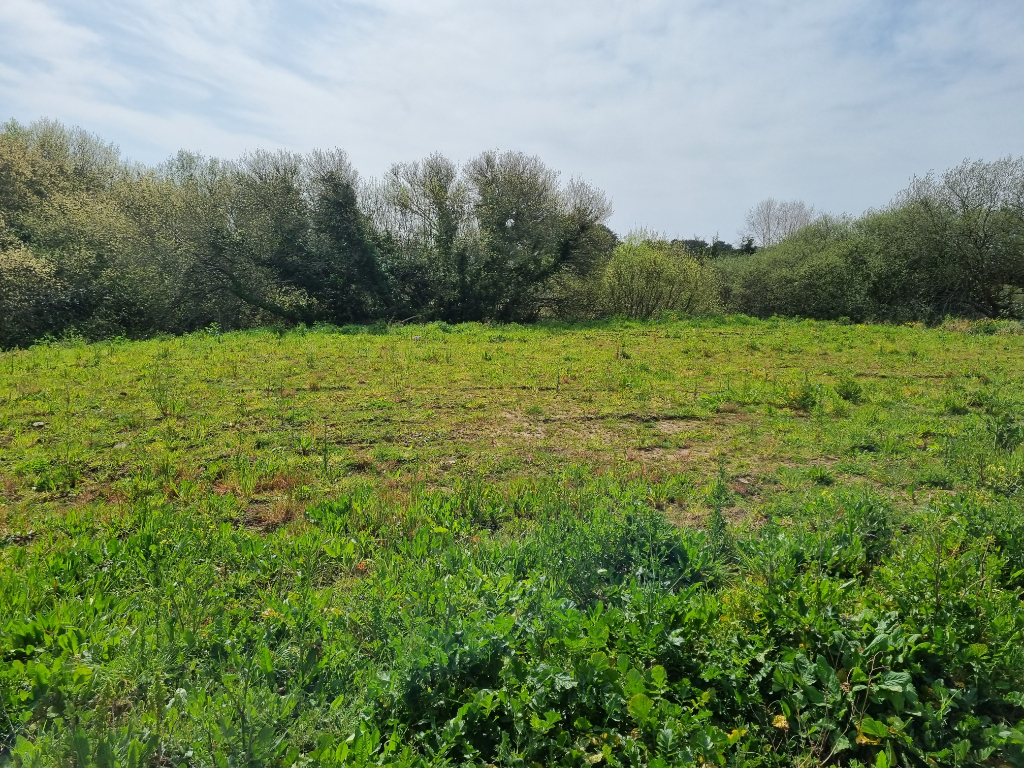 Terrain Treffiagat 1713 m2 pour local professionnel Terrain Treffiagat 1713 m2 pour local professionnel