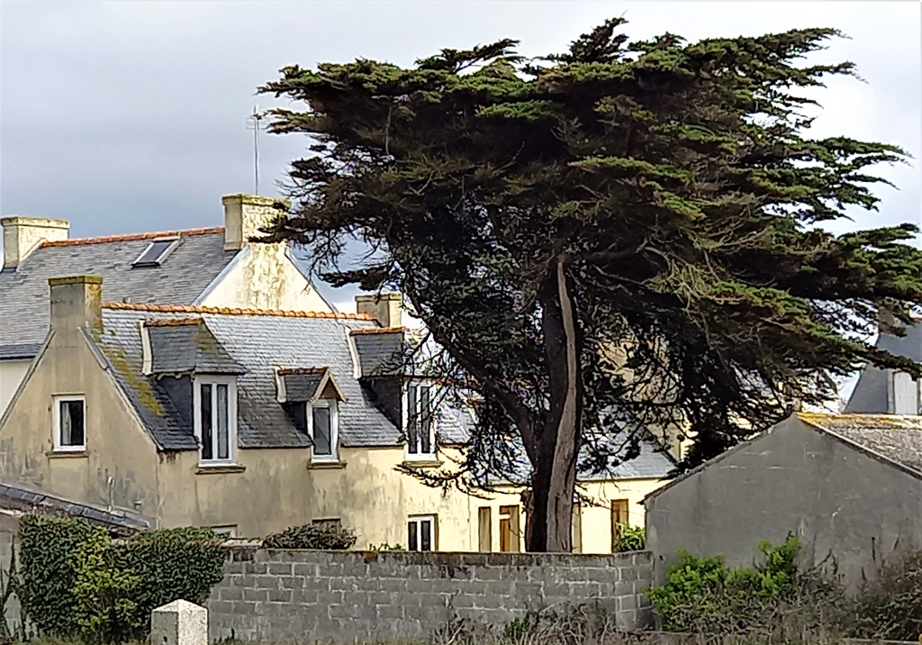 Propriété à rénover à 50 m de la mer ST GUENOLE-PENMARCH Propriété à rénover à 50 m de la mer ST GUENOLE-PENMARCH